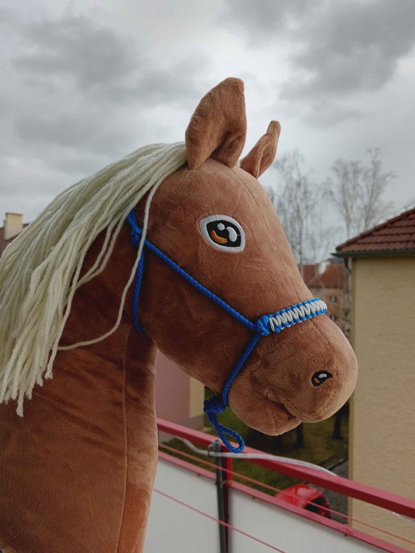 Modrá parelka
